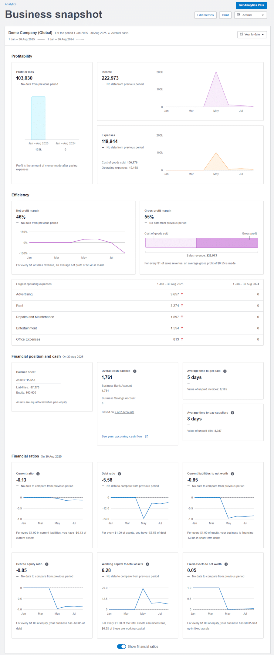 Xero Business Snapshot feature