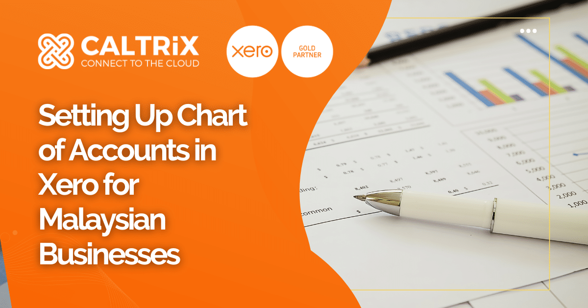 Xero Chart of Accounts